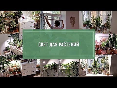 Видео: СВЕТ для РАСТЕНИЙ