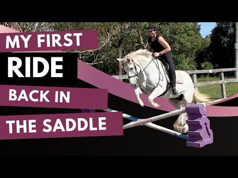 Видео: Первая конная прогулка после многих лет