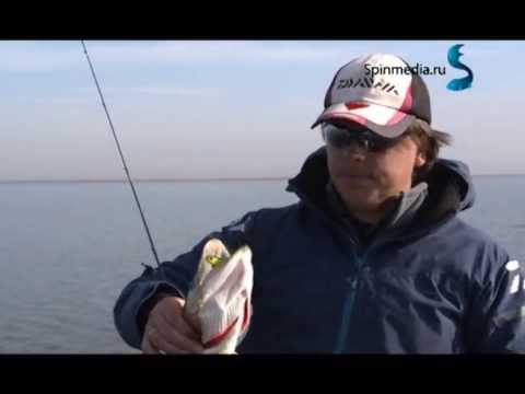 Видео: Алексей Шанин. С "Тайдом" за щукой. Сюжет о DUO Tide Minnow 75F. Рыбалка.