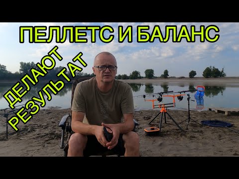 Видео: ПЕЛЛЕТС И БАЛАНС ДЕЛАЮТ РЕЗУЛЬТАТ..РИБАЛКА НА ФЛЕТ  19.08. 2024