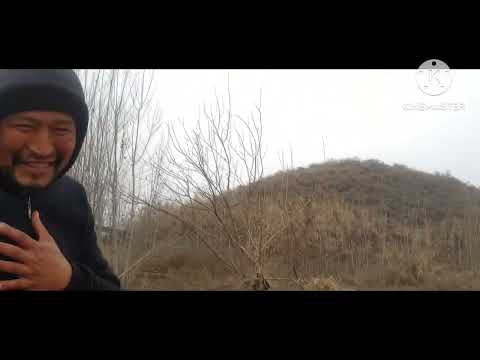 Видео: 8 декабрь Сазанчик кулида мусобокага таклиф