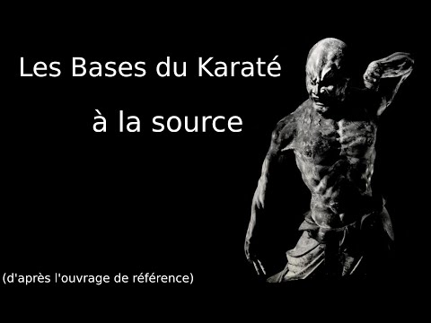 Видео: Основы каратэ у истоков