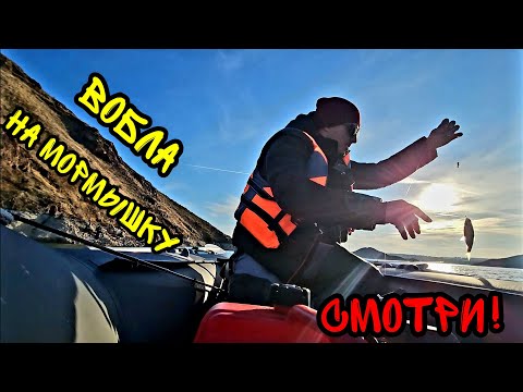 Видео: Рыбалка на Капчагае 🎣 Ищем воблу и скачем по волнам #рыбалка #fishing #алматы #almaty 