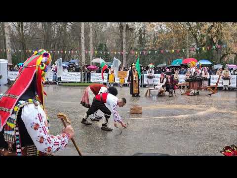 Видео: Кукерландия 2025 | Ямбол | Кукерска група село Чарда