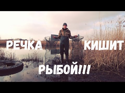 Видео: Забросил Огромные Раколовки туда Где Полно Рыбы!!! Оставил всего на пару часов! Результат...