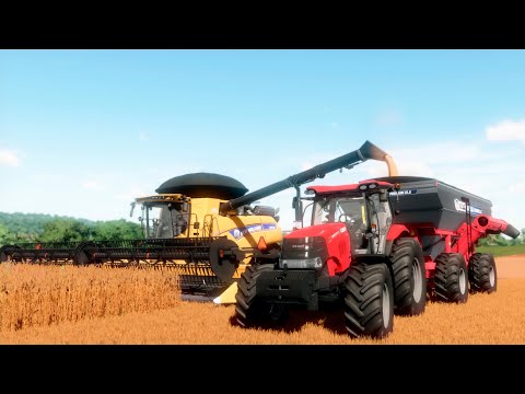 Видео: Farming Simulator 22 / Карта Ceranto Da Alvorada / #27 Сельское хозяйство в Бразилии, уборка пшеницы