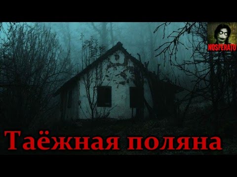 Видео: Истории на ночь - Таёжная поляна