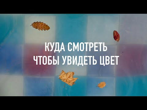 Видео: Куда смотреть чтобы увидеть цвет