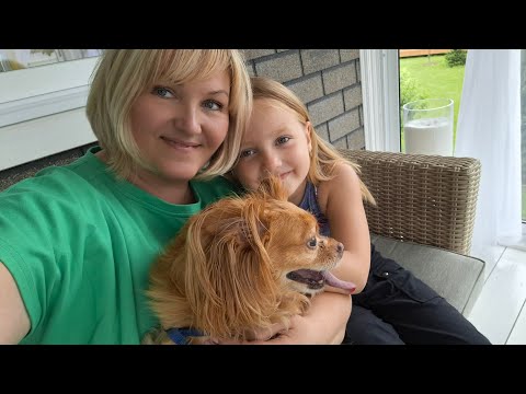Видео: Приехала на дачу 🥰Здесь как в раю 🌸Кот пропала !🤭Уехали без кота.  Сергй Павловский вас приглашает 🎤