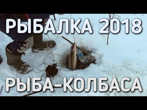 Видео: РЫБА КОЛБАСА