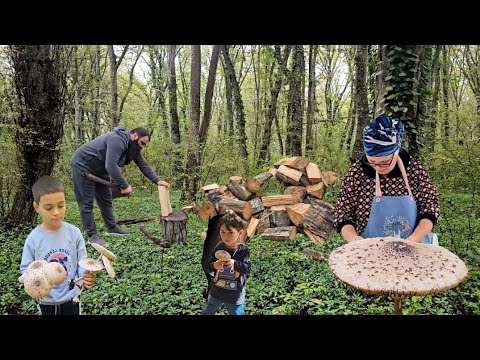 Видео: Сбор Лесных Грибов. Секретный Рецепт Грибы с Сыром в Дровяной Печи