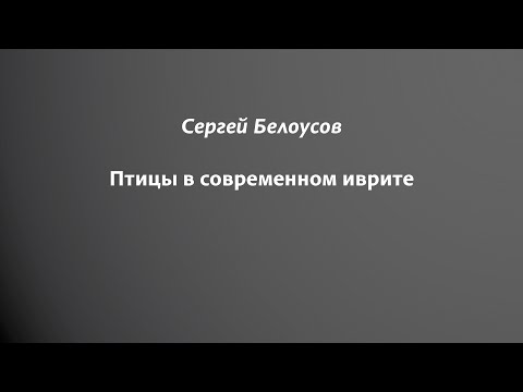 Видео: Птицы на иврите