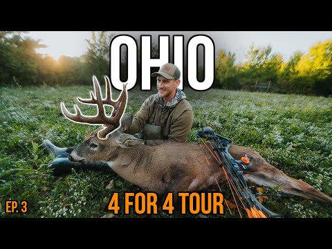 Видео: Мой самый большой лук-самец ВСЕГДА! | Общественная земля Огайо