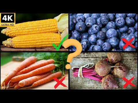 Видео: Учим цвета и фрукты/овощи! Весёлая викторина для детей. 