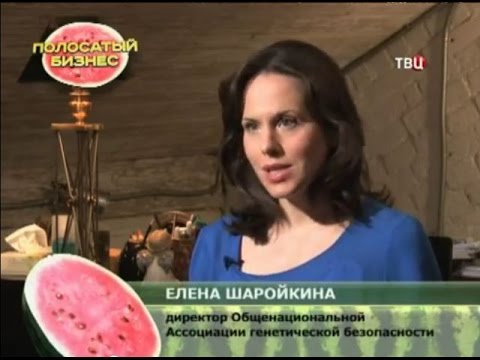 Видео: ТВЦ Без обмана. Полосатый бизнес. Елена Шаройкина, ОАГБ