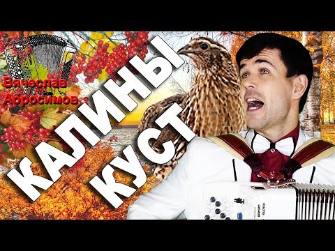 Видео: 🔥КАКОЙ ГОЛОС!!!🔥Аж, мурашки по телу!  (Калины куст под баян)