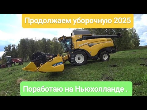 Видео: Продолжаем уборочную 2025. Поработаю на Ньюхолланде СХ8. 80
