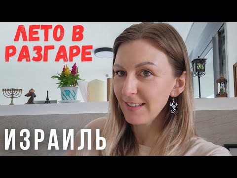 Видео: Клопы в израильских квартирах. Квартиры с мебелью. Шавуот. Израиль