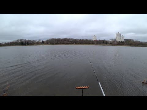 Видео: 1 ФЕВРАЛЯ А ЗИМЫ ВСЕ ЕЩЕ НЕТ😅ЛОВЛЯ НА ПОПЛАВОК И ФИДЕР В ЗИМНЕЕ ВРЕМЯ ГОДА.ПОИСК РЫБЫ В ЧЕРТЕ ГОРОДА
