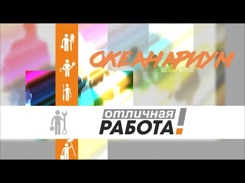 Видео: Океанариум Отличная работа