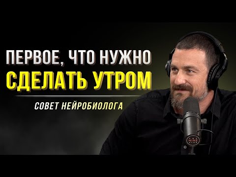 Видео: Распорядок дня нейробиолога. Делай это каждый день и увидишь невероятные изменения!