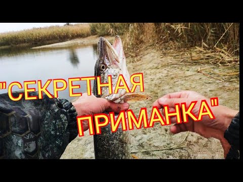 Видео: С лёгким джигом за щукой.ноябрь.crazy fish perfect jig 0.6-7гр.