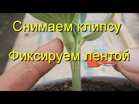 Видео: Снимаем клипсу. Фиксируем лентой.