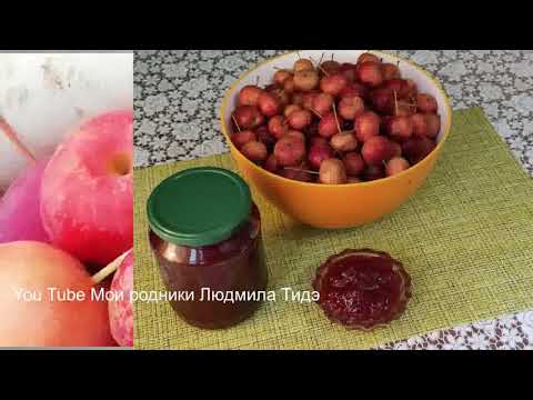 Видео: Как приготовить повидло из ранеток яблок