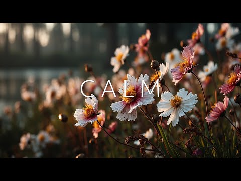 Видео: Расслабляющая инструментальная музыка для глубокой работы, фокуса и снятия стресса