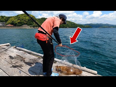 Видео: [Шокирующее видео] Я поймал невероятно огромного кальмара! !