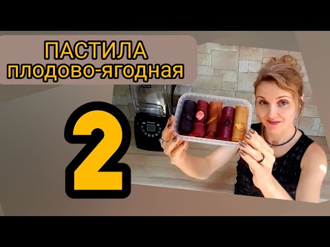 Видео: как приготовить пастилу? профессиональный блендер RAWMID Professional RPB-01