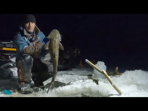 Видео: ПЕРЕМЕТ | КАК ОТРАБОТАЛ ЖИВЕЦ | 29.10.2025