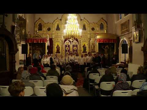 Видео: Прямая трансляция пользователя Таллинский кафедральный Александро-Невский собор