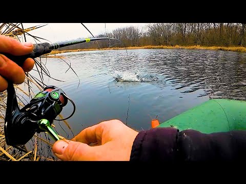 Видео: ЭТО ТОЧНО ОСЕННИЙ ЖОР ЩУКИ! Лесное озеро сегодня раздает! Рыбалка на спиннинг!