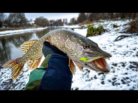 Видео: ДЕРЖИ СПИННИНГ КРЕПЧЕ, КОГДА ТАКАЯ ЩУКА КЛЮЕТ!!! / РЫБАЛКА в СТИЛЕ МИКРОДЖИГ на МАЛОЙ РЕКЕ
