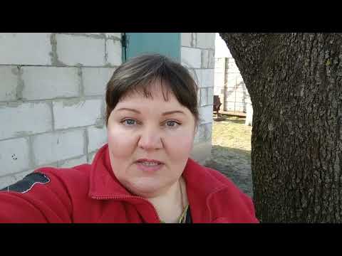 Видео: Беларусь, Брест Сею капусту, как растёт рассада
