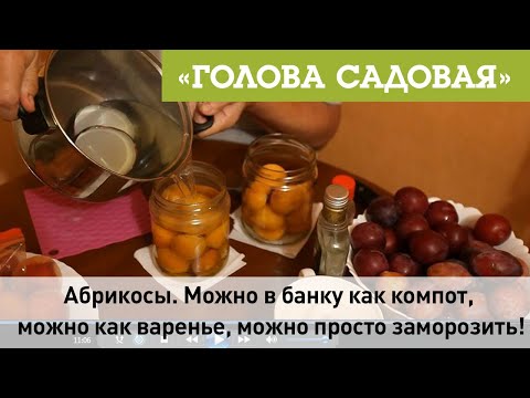 Видео: Голова садовая - Абрикосы. Можно в банку как компот, можно как варенье, можно просто заморозить!