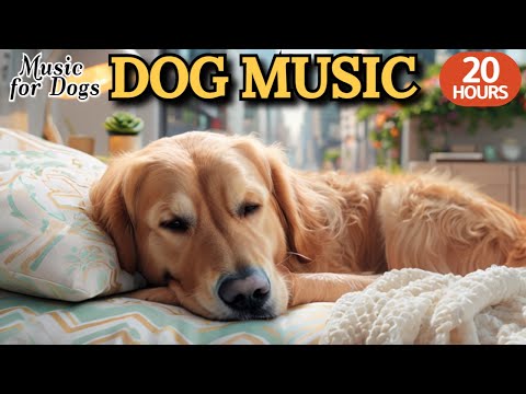 Видео: 24 часа успока-ивающей музыки для собак🐶💖Музыка для гиперактивных собак🦮🎵Способствует покою