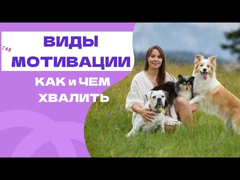 Видео: КАК ПРАВИЛЬНО ХВАЛИТЬ И УХОДИТЬ ОТ КУСКА