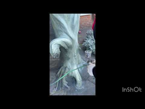 Видео: Покраска дерева из бетона