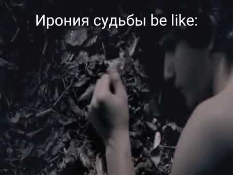 Видео: Волчонок|Cpack 2