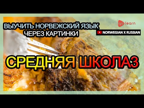 Видео: Выучить норвежский язык через картинки |норвежский язык словарь средняя школа3 | Golearn