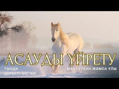Видео: АСАУДЫ ҮЙРЕТУ. Деректі әңгіме. #аудиокітап #әңгіме 