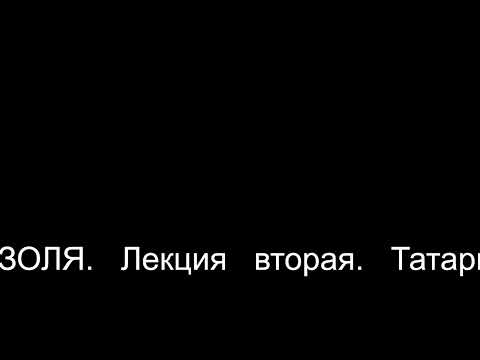 Видео: Эмиль Золя.   Лекция вторая.    Татаринова   Л. Н.