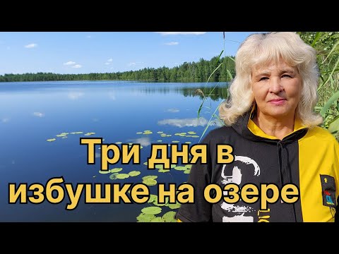 Видео: ЛЕСНАЯ ИЗБУШКА ПРИЮТИЛА. КУПАНИЕ, СБОР ЯГОД, ТАЕЖНЫЙ БЫТ.