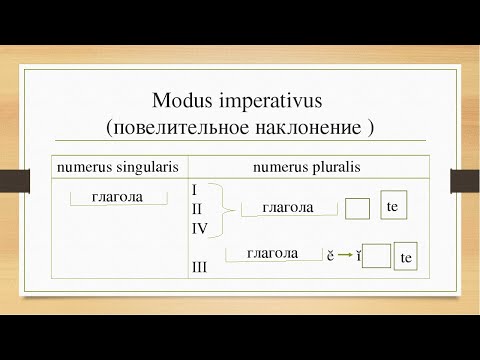 Видео: Латинский императив