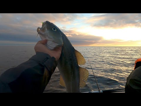 Видео: За треской на зимний берег Белого моря.            Копим на новую камеру.