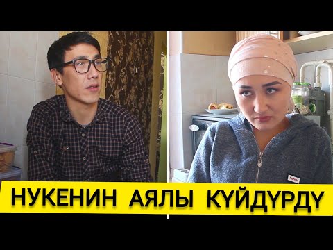 Видео: БООРДУ ЭЗГЕН ТАМАШАЛАР!!!