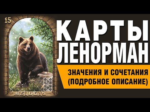 Видео: Карты Ленорман. Карта Медведь (15). Значения и сочетания карт.