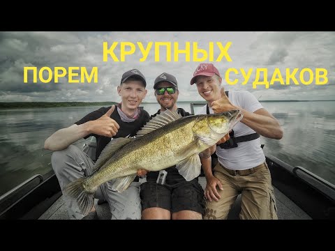 Видео: Это меняет всю игру:  трофейный судак - легко!